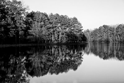 Reflections On The Lake