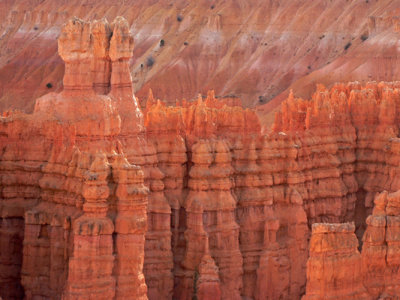 Basking Hoodoos