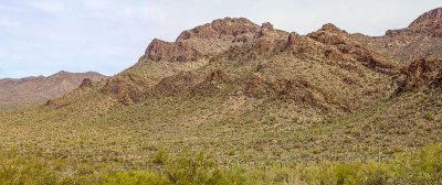 Saguaro National Park