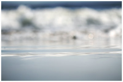Ravaging | Calm