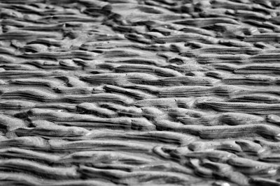 Mini Sea Canyons
