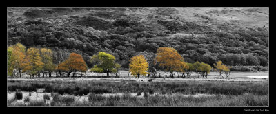 6787 Wales autumn