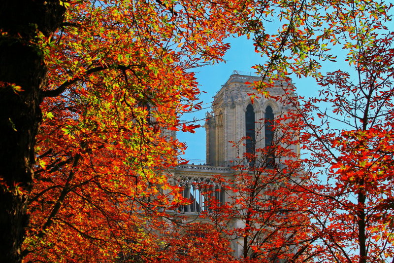 Paris 19.jpg