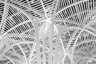 Getting Dizzy in Toronto 054.jpg