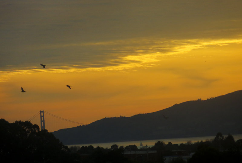 Sunset. Golden Gate Bridge. Day 3.  409mm-equiv, iso200, Superfine compression. 0269