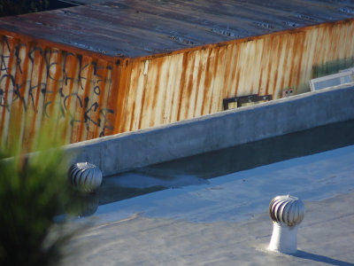 Rooftops. 500mm-equiv. Day 3, w/ Superfine compression.  0208