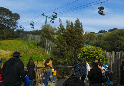 The viewing area and Skyrides above. #0847