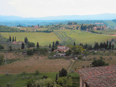 One more view from top of San Gimignano