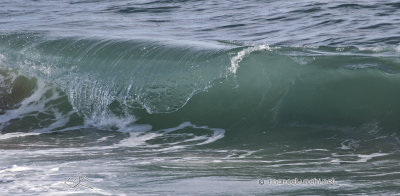 Surf & Parapente 3-2013