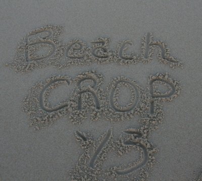 Beach Crop 2013