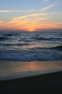 IMG_5572.JPG