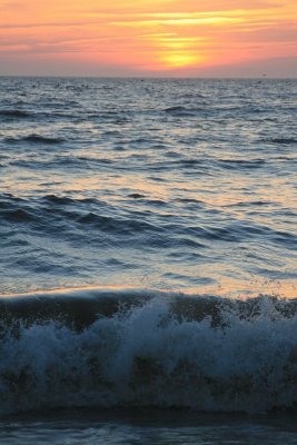 IMG_5574.JPG