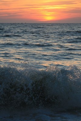 IMG_5575.JPG
