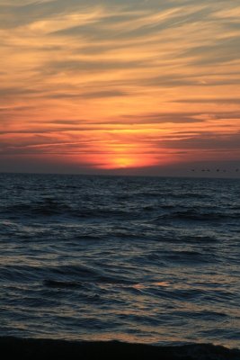 IMG_5576.JPG