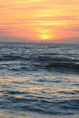 IMG_5577.JPG