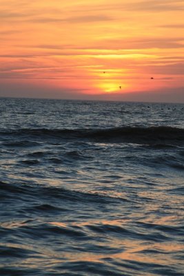 IMG_5578.JPG