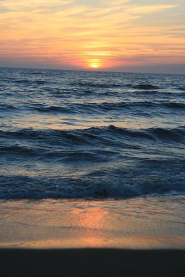 IMG_5583.JPG