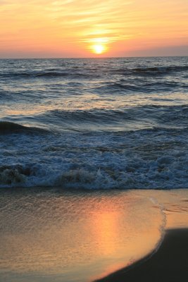 IMG_5598.JPG