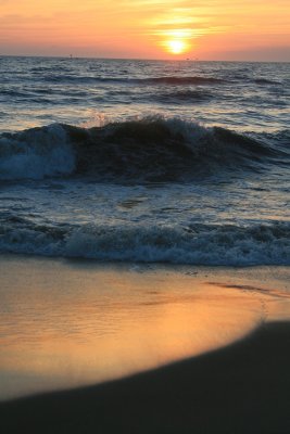 IMG_5599.JPG
