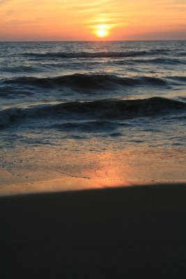 IMG_5601.JPG