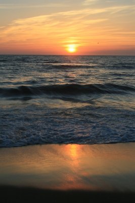 IMG_5603.JPG