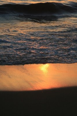 IMG_5604.JPG