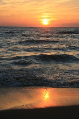 IMG_5605.JPG