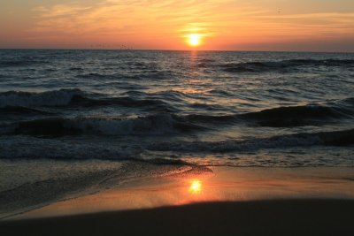 IMG_5606.JPG