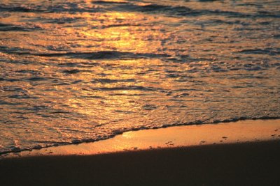 IMG_5608.JPG