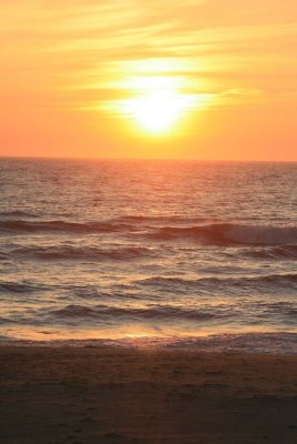 IMG_5611.JPG