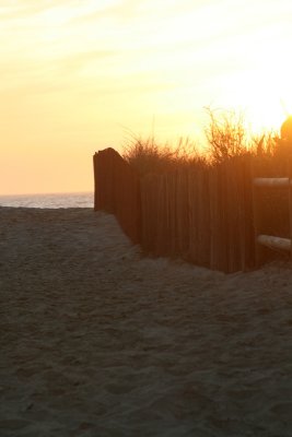 IMG_5617.JPG