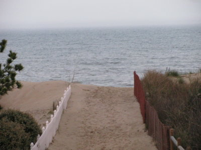 IMG_4478.JPG