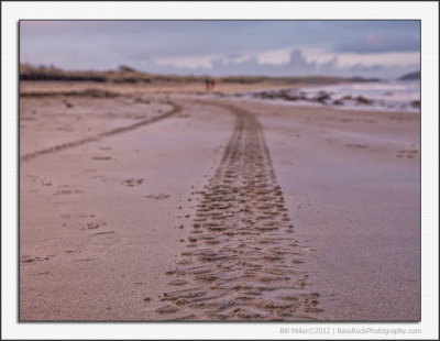 Making Tracks