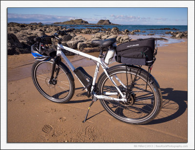 The Storck Goes to the Beach