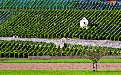 The Countryside in Europe