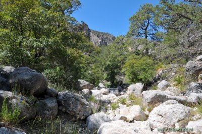 134 Texas Guadalupe Mountains NP.JPG