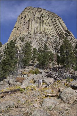 Devils Tower