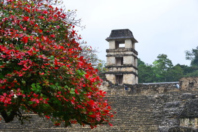 Museo de Sitio,Palenque,Mexico.