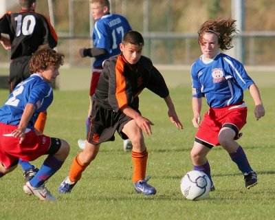 IMG_1773_1.jpg
