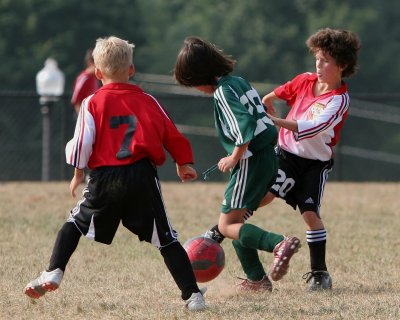IMG_4963.jpg