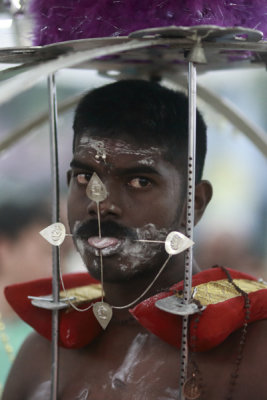 Thaipusam13004.jpg