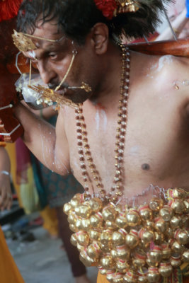 Thaipusam13012.jpg