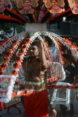 Thaipusam13020.jpg