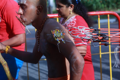 Thaipusam13022.jpg