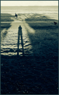 Me and My Shadow