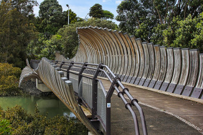 Wavey Bridge