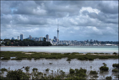 Auckland City from the North Shore