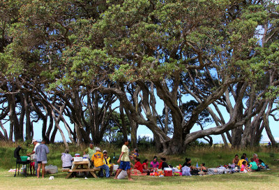 Pacific Islanders picnicing 