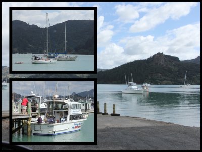 Whangaroa Harbour