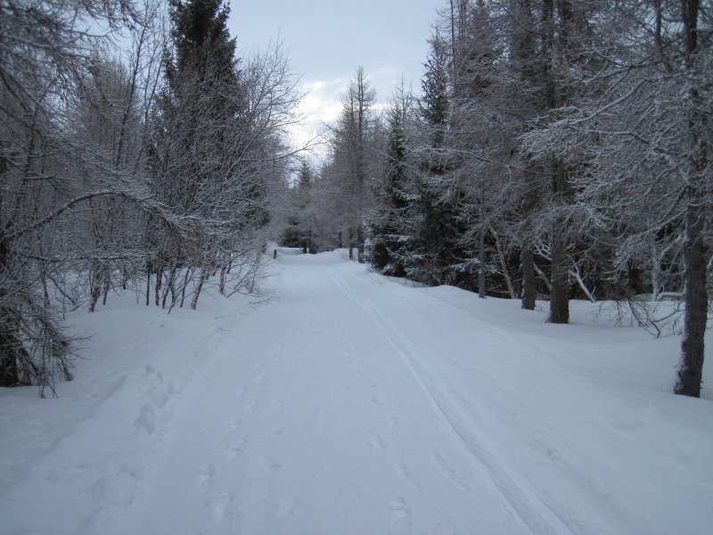IMG_6002.JPG